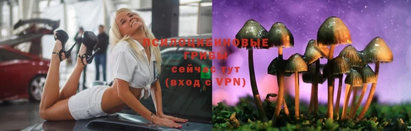 соль ск Алзамай