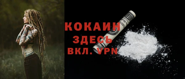соль ск Алзамай