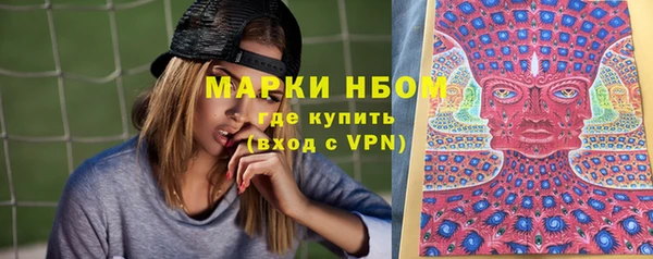 соль ск Алзамай
