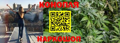ГАЛЛЮЦИНОГЕННЫЕ ГРИБЫ Волжский
