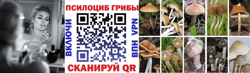 Галлюциногенные грибы Cubensis  OMG как войти  Уссурийск 