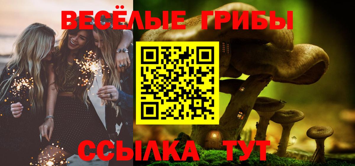 Псилоцибиновые грибы мицелий Уссурийск